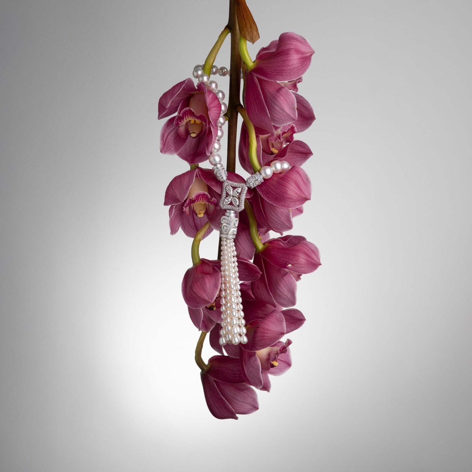 AUTORE South Sea pearl tassel necklace draped over a cascade of pink cymbidium orchids