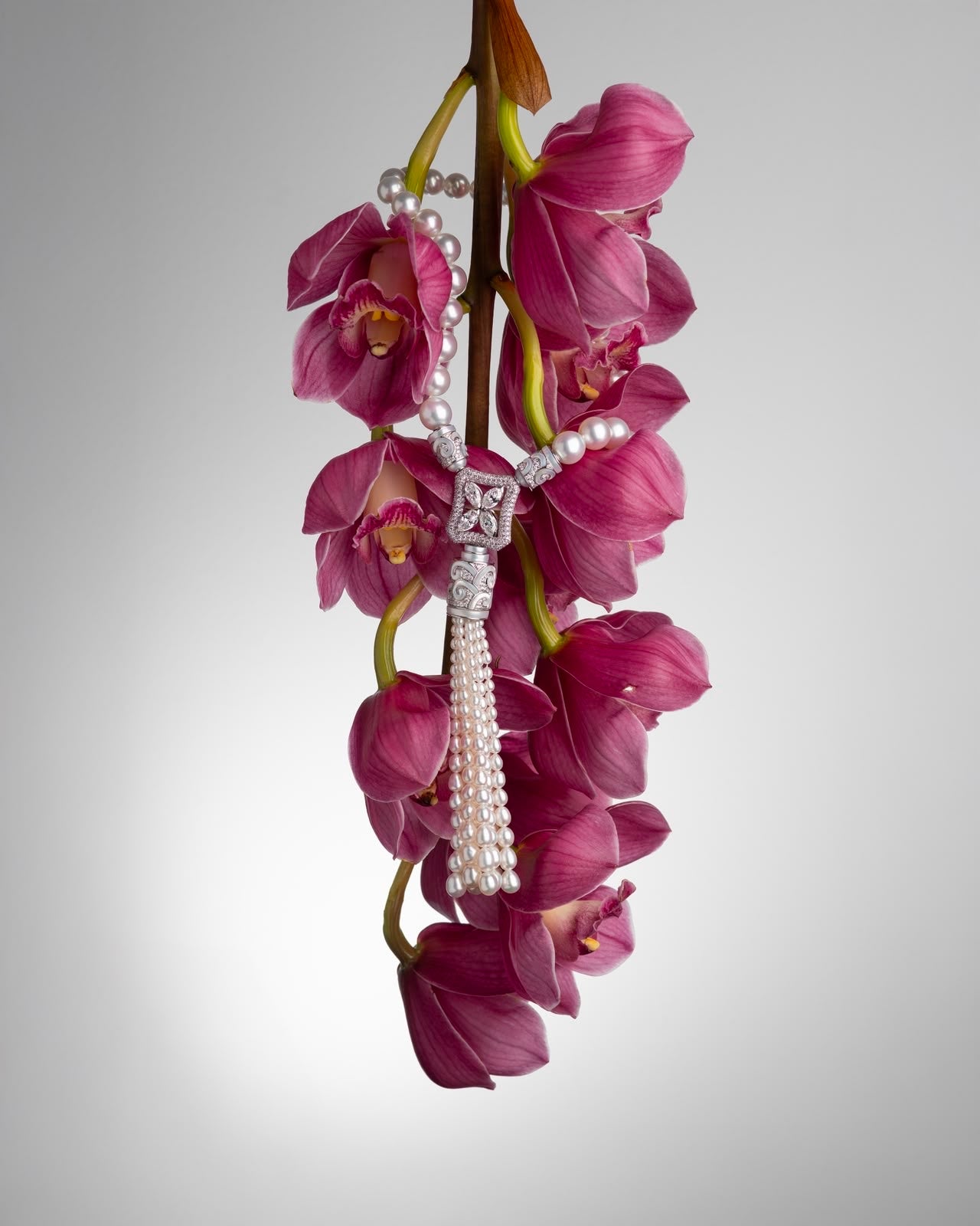 AUTORE South Sea pearl tassel necklace draped over pink cymbidium orchids