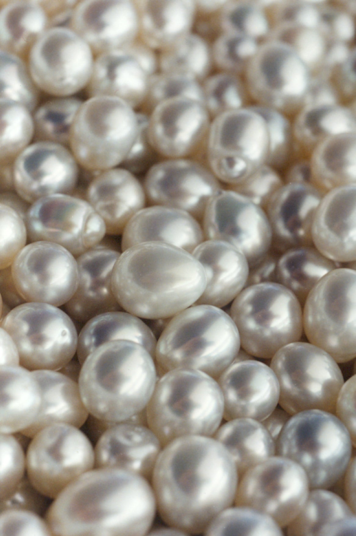 A bed of loose South Sea pearls in white and soft gold tones