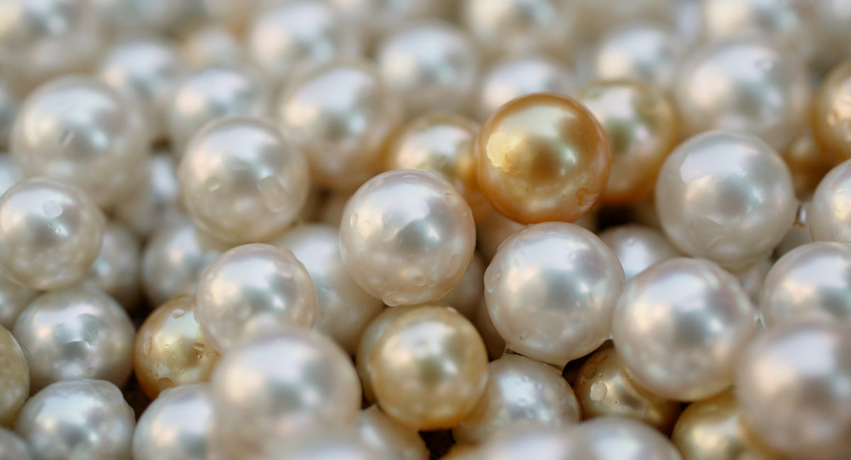 White and golden South Sea pearls gathered together, glowing with lustre