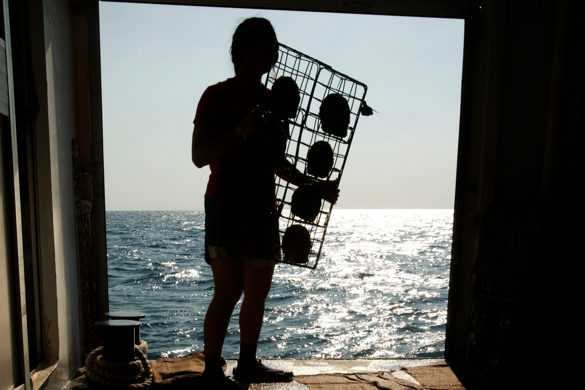 A pearl farmer silhouetted in a doorway, carrying oyster panels against the bright sea