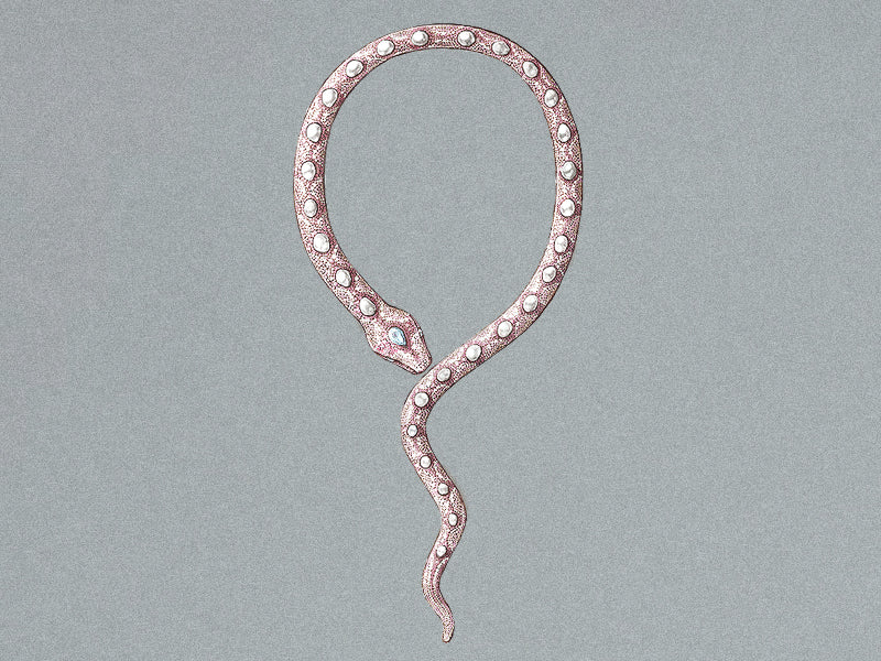 Design sketch of the award-winning Enchantress Necklace, a pink-gold serpent set with South Sea pearls