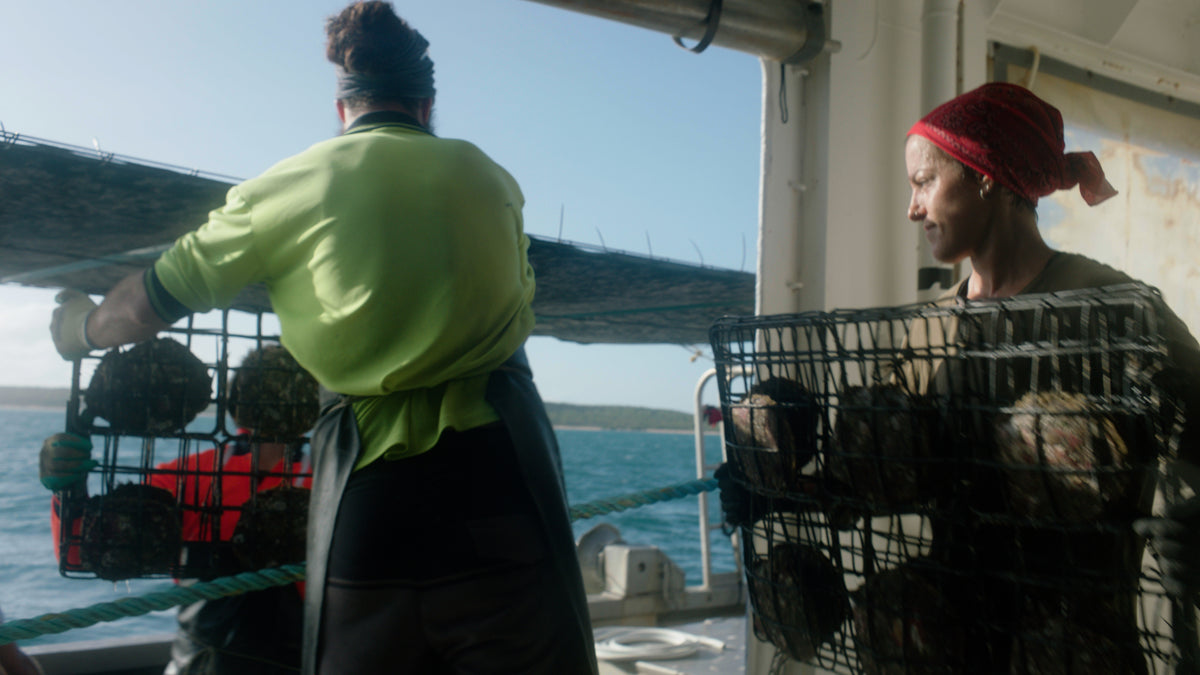 Pearl farmers handling oyster panels on the deck of a vessel