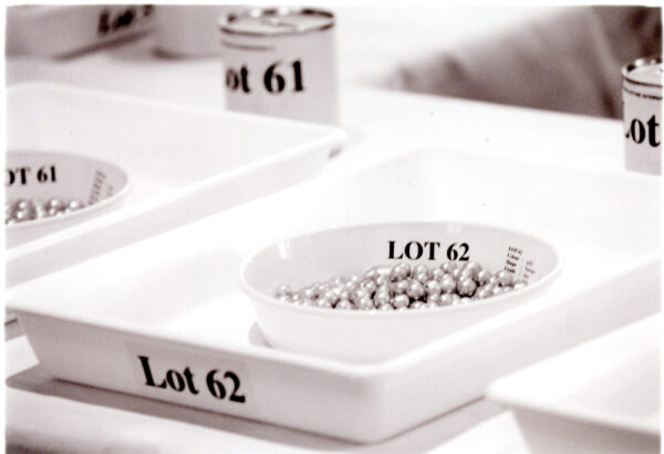 Numbered auction lots of South Sea pearls laid out in white trays