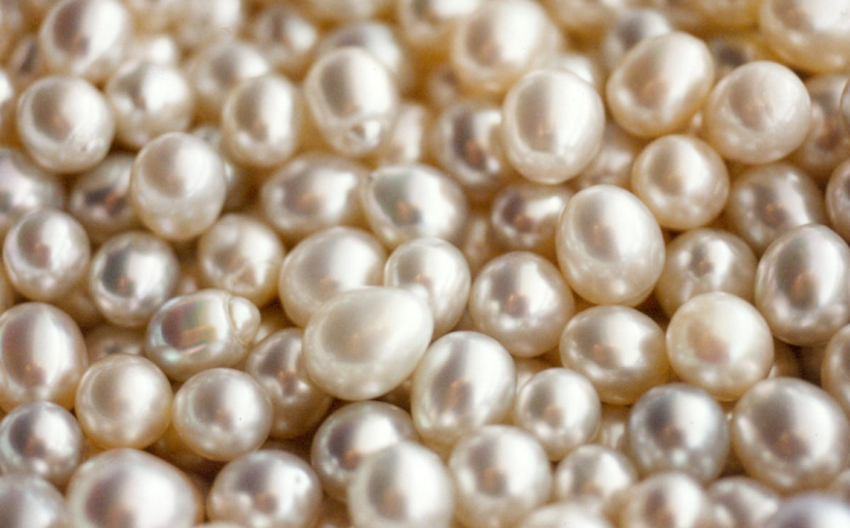 A bed of white South Sea pearls with soft pink and silver overtones