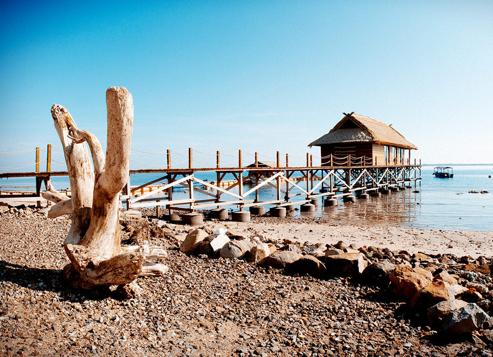 A sculptural driftwood piece on the shore beside the farm's over-water pavilion