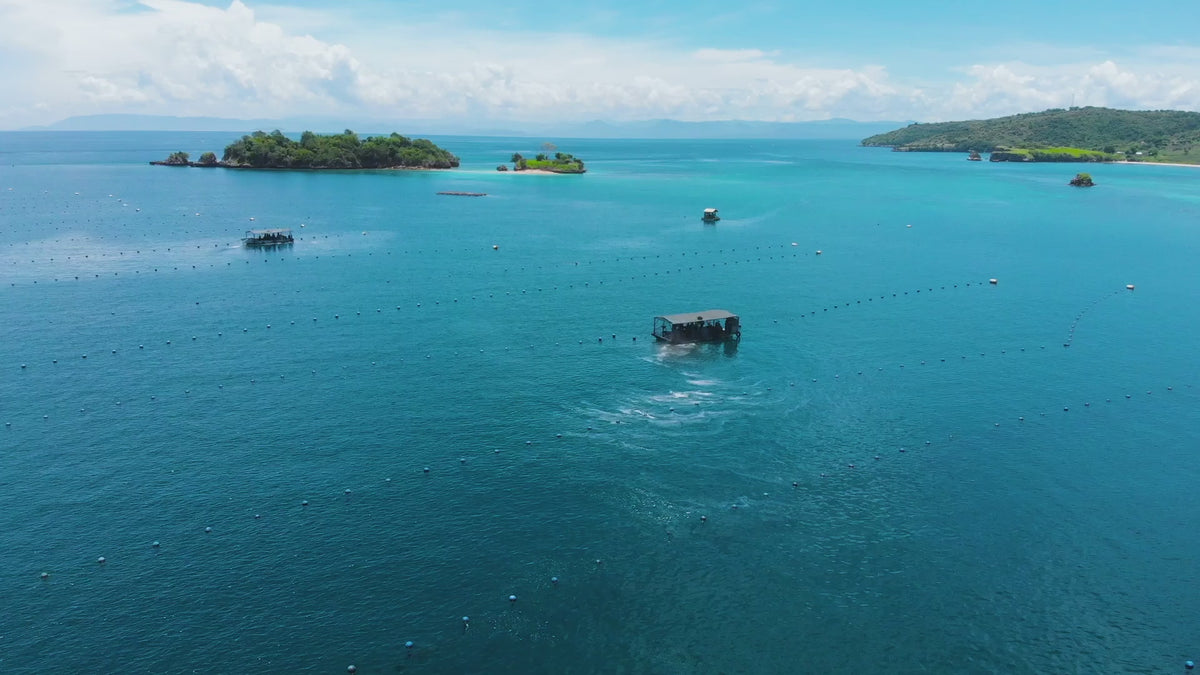 Aerial view of an AUTORE pearl farm: long lines and work boats on turquoise water between green islands